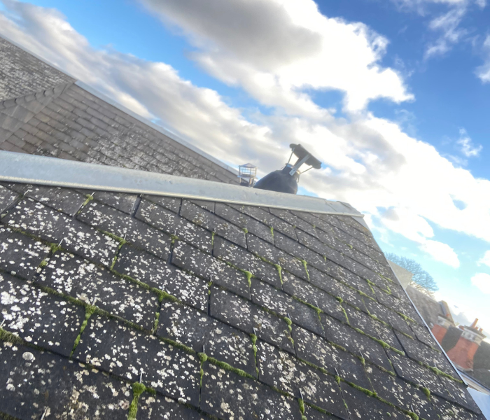 Rénovation d'une cours intérieure dans le centre ville d'Orléans et rénovation de la couverture