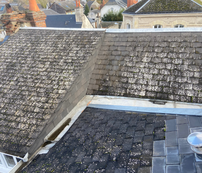 Rénovation d'une cours intérieure dans le centre ville d'Orléans et rénovation de la couverture