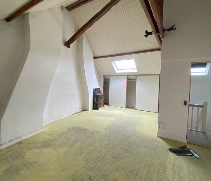 Rénovation et agrandissement d'une maison de maître en centre ville d'Orléans