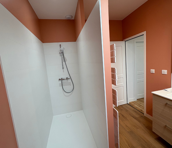 Rénovation et agrandissement d'une maison de maître en centre ville d'Orléans